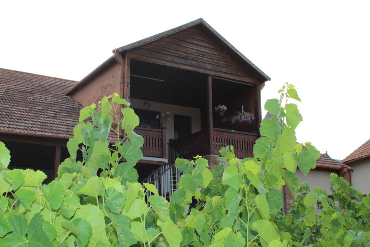 Guesthouse Mtskheta-Kapanadze Exterior photo